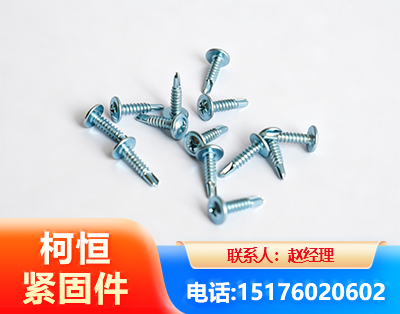 滨州华司钻尾丝